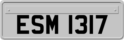 ESM1317