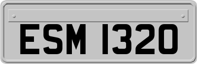 ESM1320