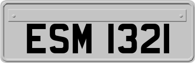 ESM1321