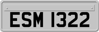ESM1322