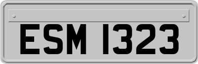 ESM1323