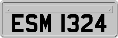 ESM1324