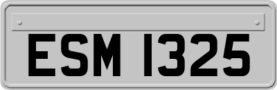ESM1325