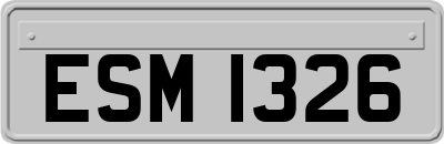 ESM1326