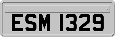 ESM1329