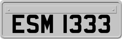 ESM1333