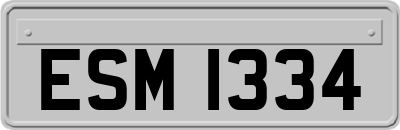 ESM1334