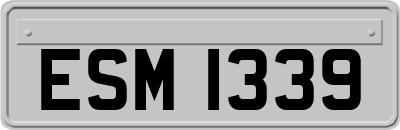 ESM1339