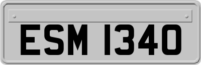 ESM1340