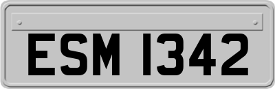 ESM1342