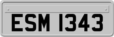 ESM1343