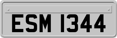 ESM1344