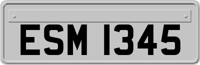 ESM1345
