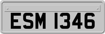 ESM1346