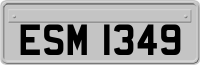 ESM1349