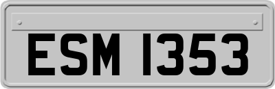 ESM1353