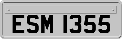 ESM1355