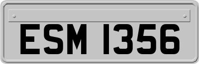 ESM1356