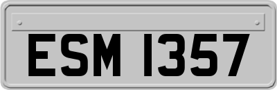 ESM1357