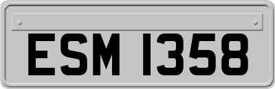ESM1358