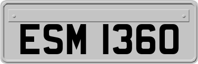 ESM1360