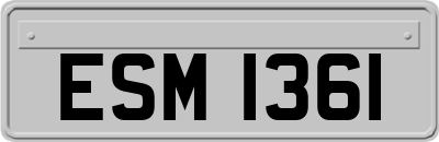 ESM1361
