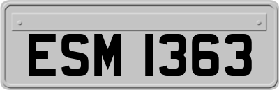 ESM1363