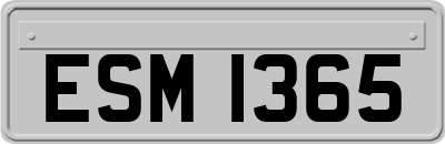 ESM1365