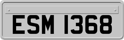 ESM1368
