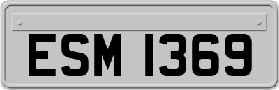 ESM1369