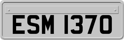 ESM1370
