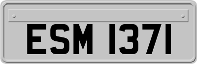 ESM1371