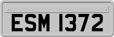 ESM1372
