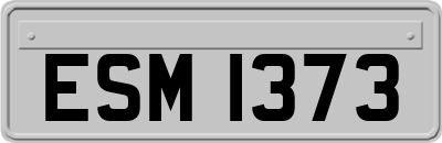 ESM1373