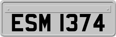 ESM1374