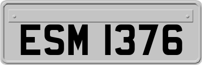 ESM1376