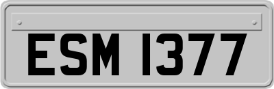 ESM1377