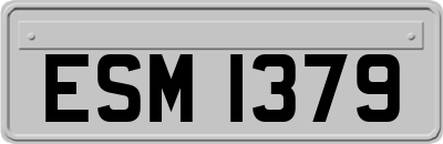 ESM1379