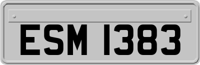 ESM1383