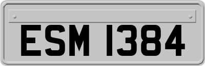 ESM1384