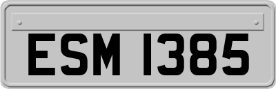 ESM1385