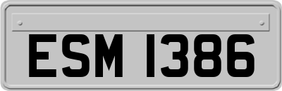 ESM1386