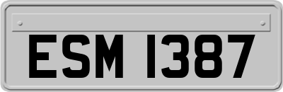ESM1387