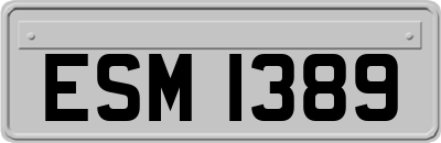 ESM1389