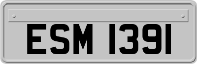 ESM1391