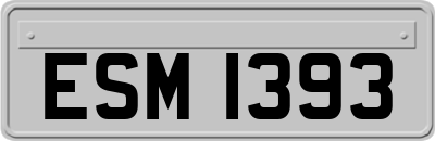 ESM1393
