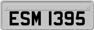 ESM1395