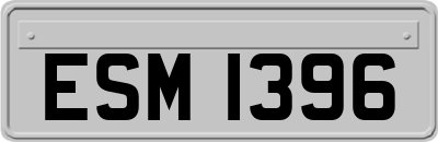 ESM1396