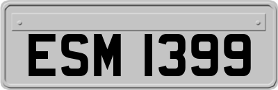 ESM1399