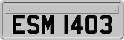 ESM1403